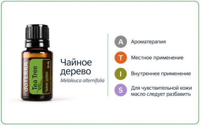 Масло чайного дерева: свойства, применение и меры предосторожности
