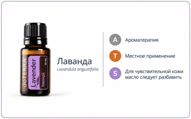 Масло лаванды: свойства, применение, дозировки